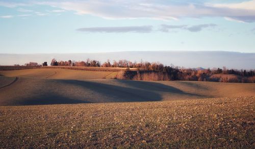 Scenic view of field against sky