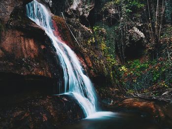 Scenic view of waterfall in forest