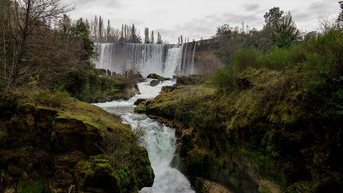 Scenic view of waterfall in forest