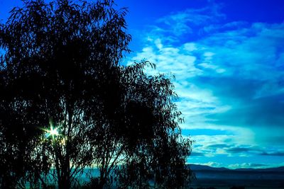 Low angle view of silhouette trees against blue sky