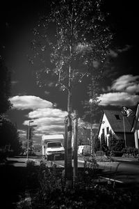 Trees on field against sky