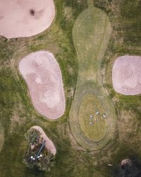 High angle view of sheep on grass