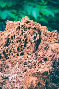 Close-up of rock on rocks