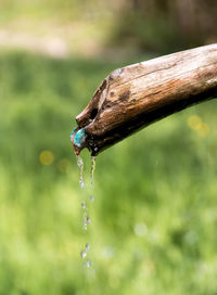 Close up of water