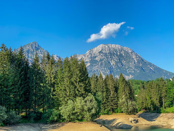 Scenic view of trees and mountains against sky