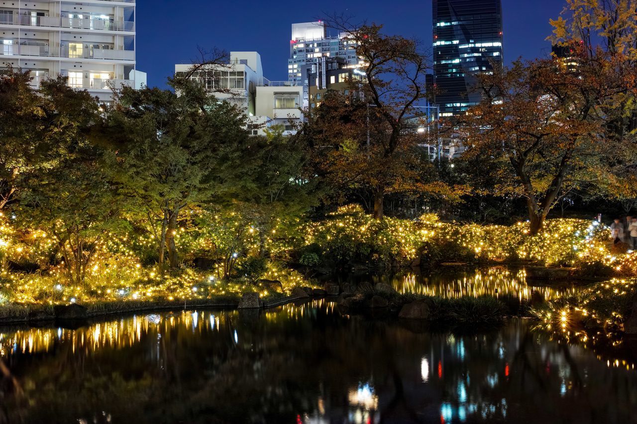 city, architecture, tree, building exterior, illuminated, built structure, plant, reflection, water, night, building, no people, nature, lake, outdoors, waterfront, dusk, lighting equipment, light, office building exterior, skyscraper, apartment