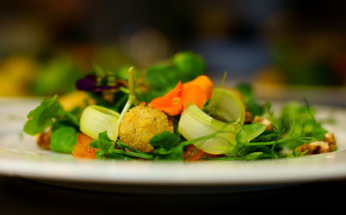 Close-up of served food in plate