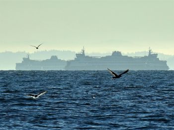 Seagull flying over sea against sky