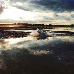 Reflection of sky on water