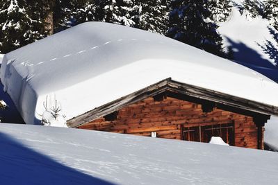 Snow covered houses by trees against mountain