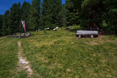 Bench in park