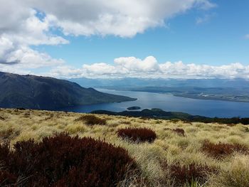 Scenic view of landscape against sky