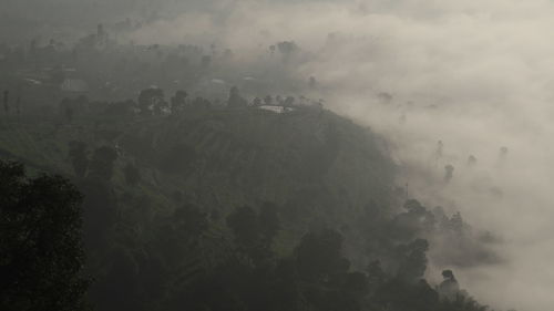 Low angle view of trees and mountains against sky