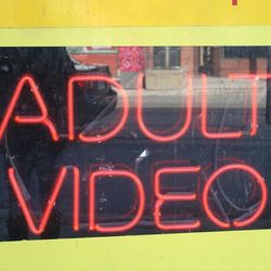 Close-up of red flower