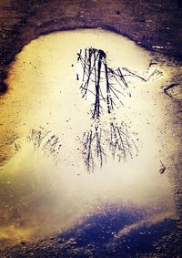 Close-up of water