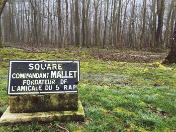 Information sign on tree trunk in forest