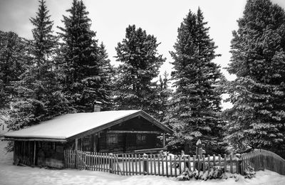 Scenic view of snow covered landscape