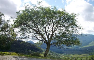 Scenic view of mountains against cloudy sky