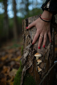 Cropped image of woman touching tree stump at forest