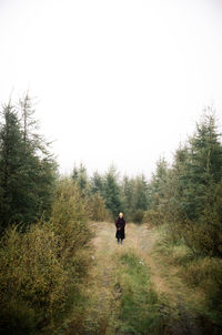 Rear view of man walking in forest against clear sky