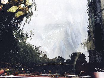 Panoramic view of trees against sky at night