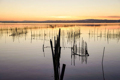 Wooden posts in lake against sky during sunset