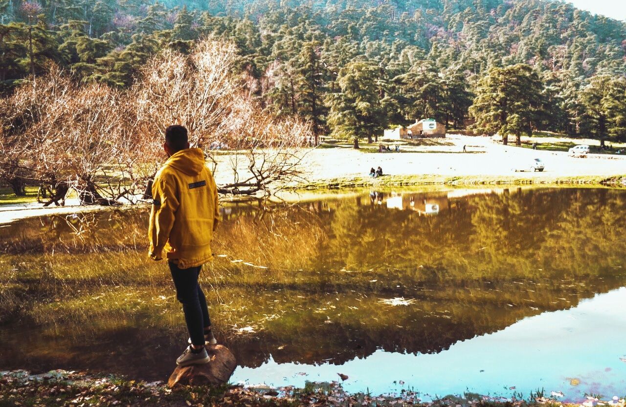 water, plant, rear view, real people, tree, lake, nature, one person, reflection, standing, lifestyles, leisure activity, full length, day, beauty in nature, men, tranquility, sunlight, outdoors