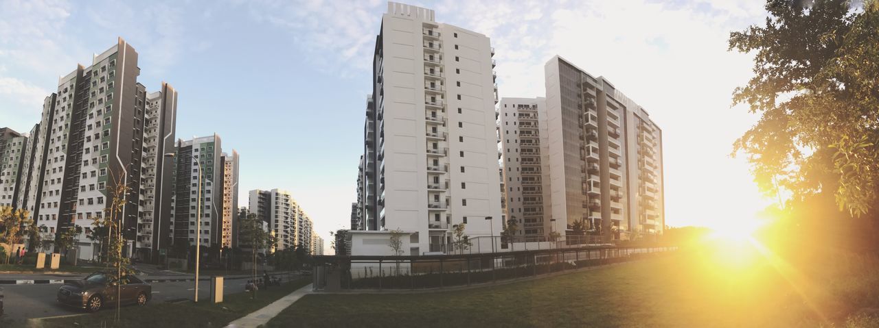 architecture, building exterior, built structure, sunlight, city, skyscraper, tree, outdoors, sky, day, growth, no people, modern, nature