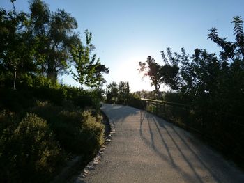 Road passing through forest