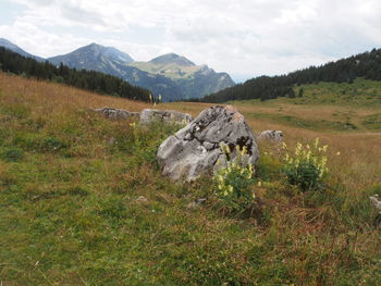 Scenic view of landscape against sky