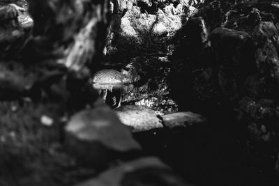 Cropped image of man standing on rock