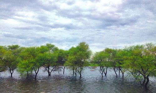 Scenic view of lake against sky