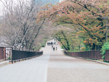 Footpath amidst trees in park during autumn