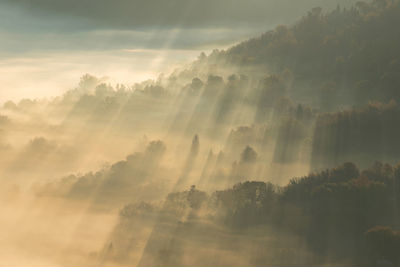 High angle view of trees against sky