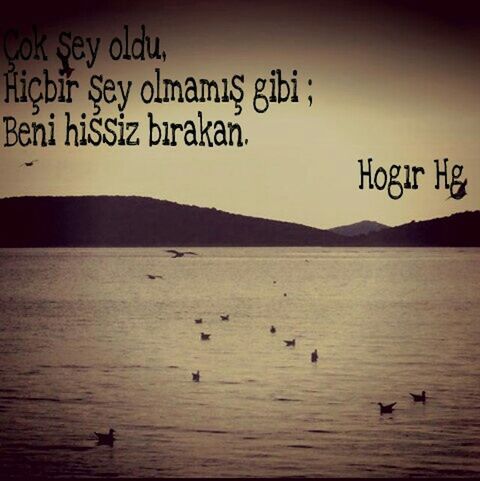 HogırHg