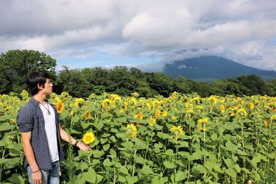 Rear view of person standing on yellow flowering field against sky