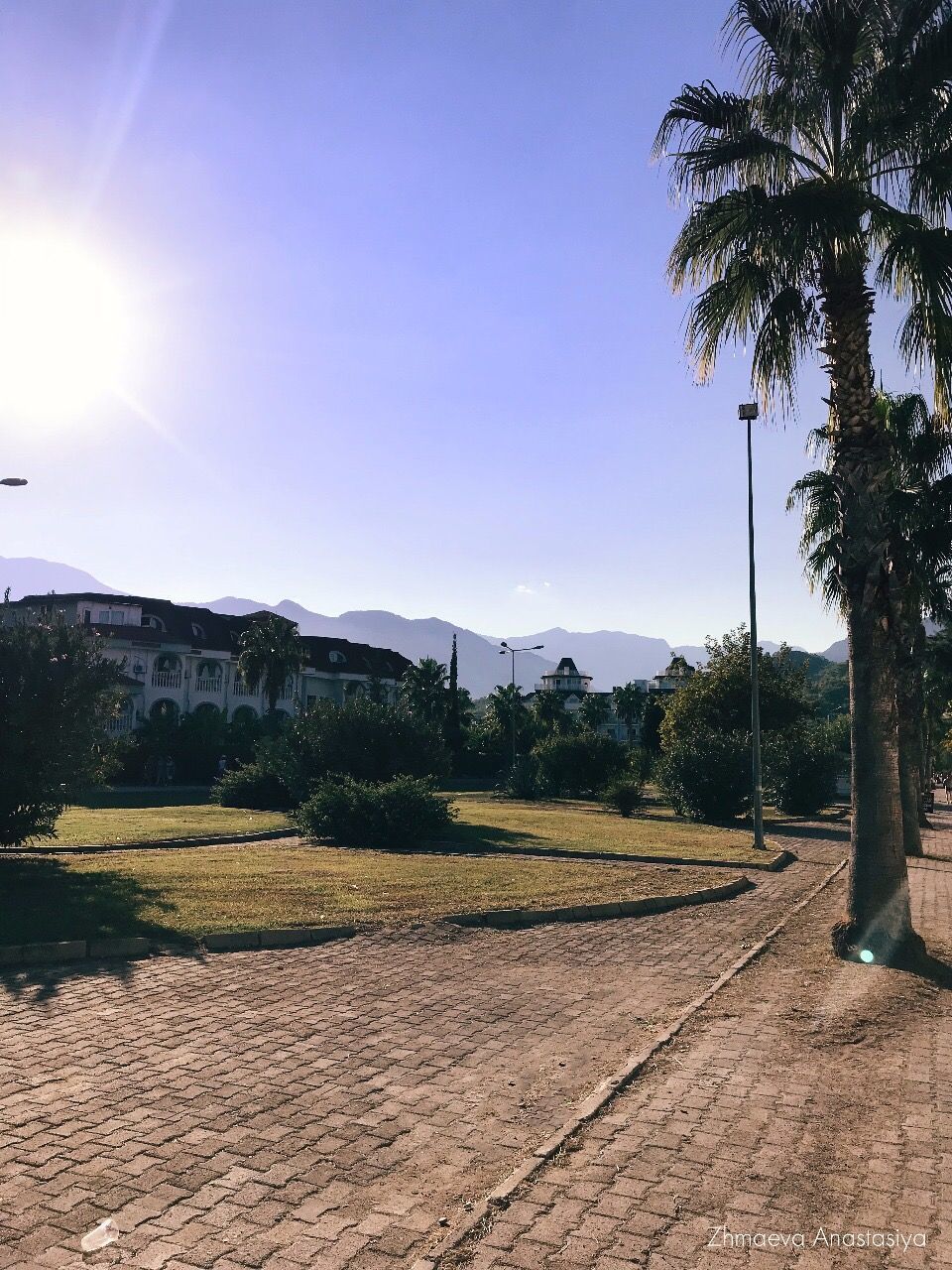 FOOTPATH BY PALM TREES AGAINST SKY