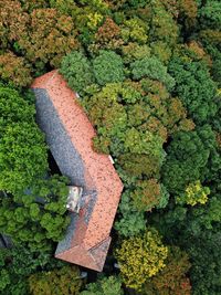 High angle view of house amidst trees