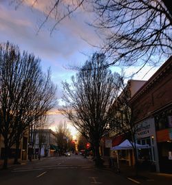 Road amidst trees and buildings against sky