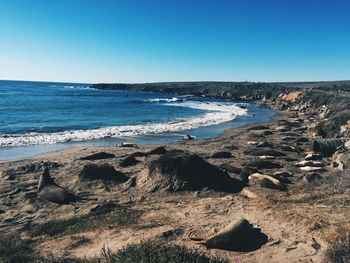 Scenic view of sea against clear sky