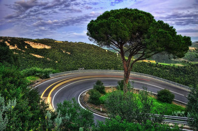 High angle view of road amidst trees against sky