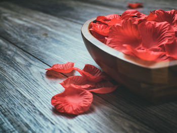 High angle view of red hibiscus on table