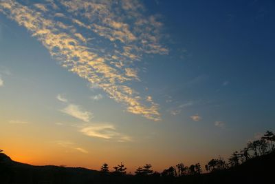 Low angle view of silhouette trees against sky