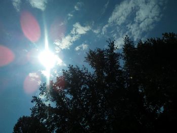 Low angle view of silhouette trees against sky