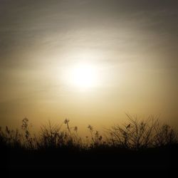 Scenic view of landscape at sunset