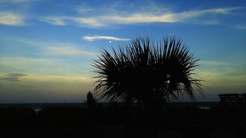 Silhouette of trees against sky at sunset