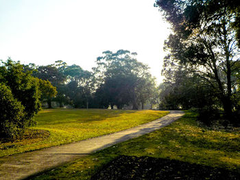 Empty road amidst trees against clear sky