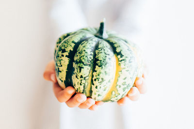 Cropped hands of woman holding pumpkin