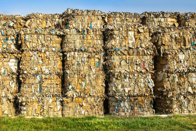 Close-up of old ruins