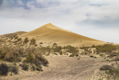 A large sand dune in the desert, bushes grow at the foot, a road leads to the dune, sky and clouds